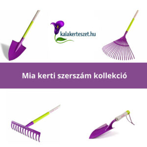 Read more about the article Lassan vége a nyárnak, ősszel újra eljön a kertészkedés ideje