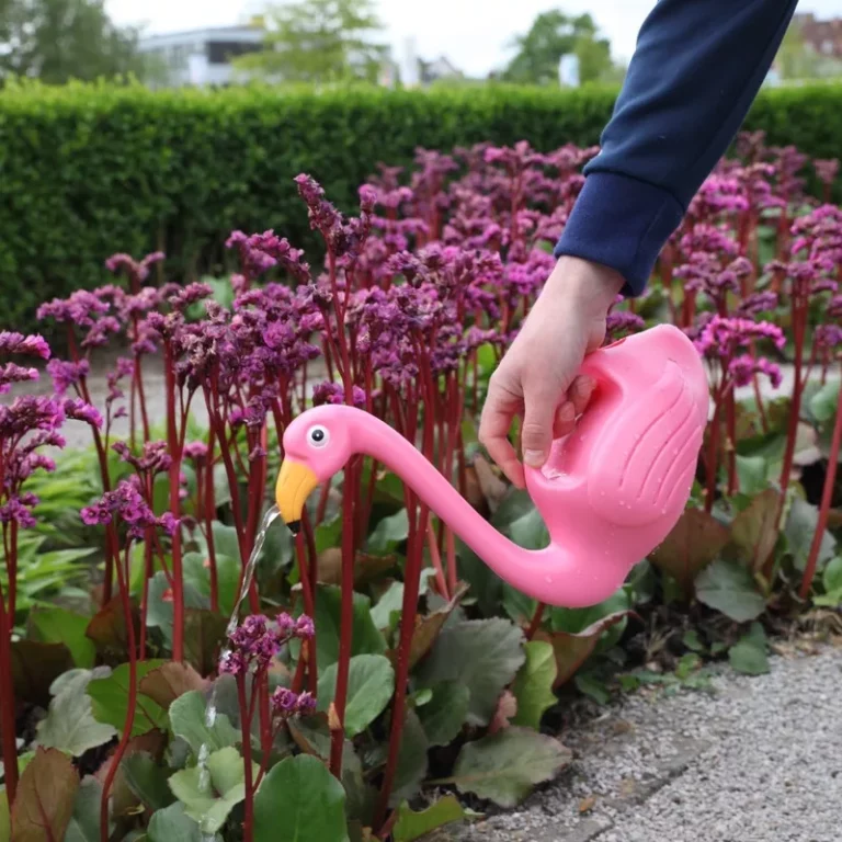 Júliusi kerti teendők – Miért lett a locsolás az egyik legfontosabb feladat?