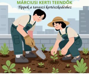 Read more about the article Márciusi kerti teendők – így indítsd be a szezont