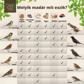 Faggyúgolyó madáreleség háló nélkül 6 db