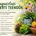 Augusztusi kerti teendők – így marad szép és egészséges a kert a nyár végén