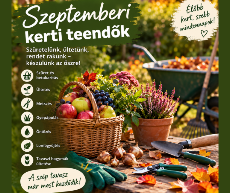 Szeptemberi kerti teendők – készítsük fel a kertet az őszre!